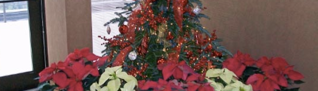 New Orleans Holiday Decorations