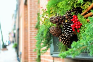 holiday plant service in shreveport, christmas plant service, Shreveport