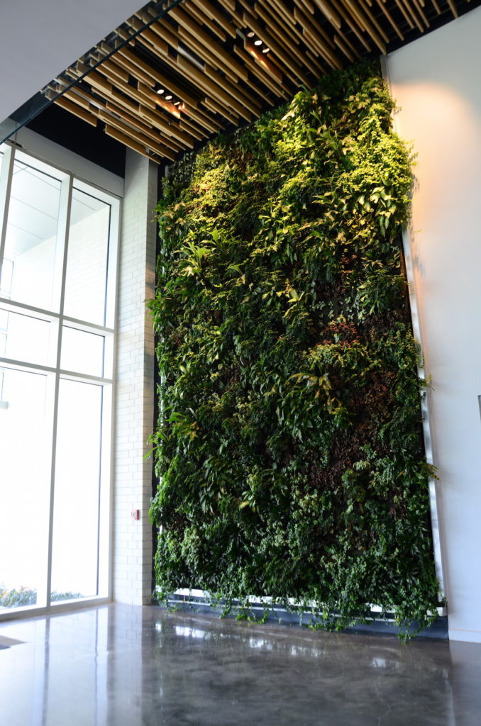 Get the best indoor green walls with Billy Heroman's.