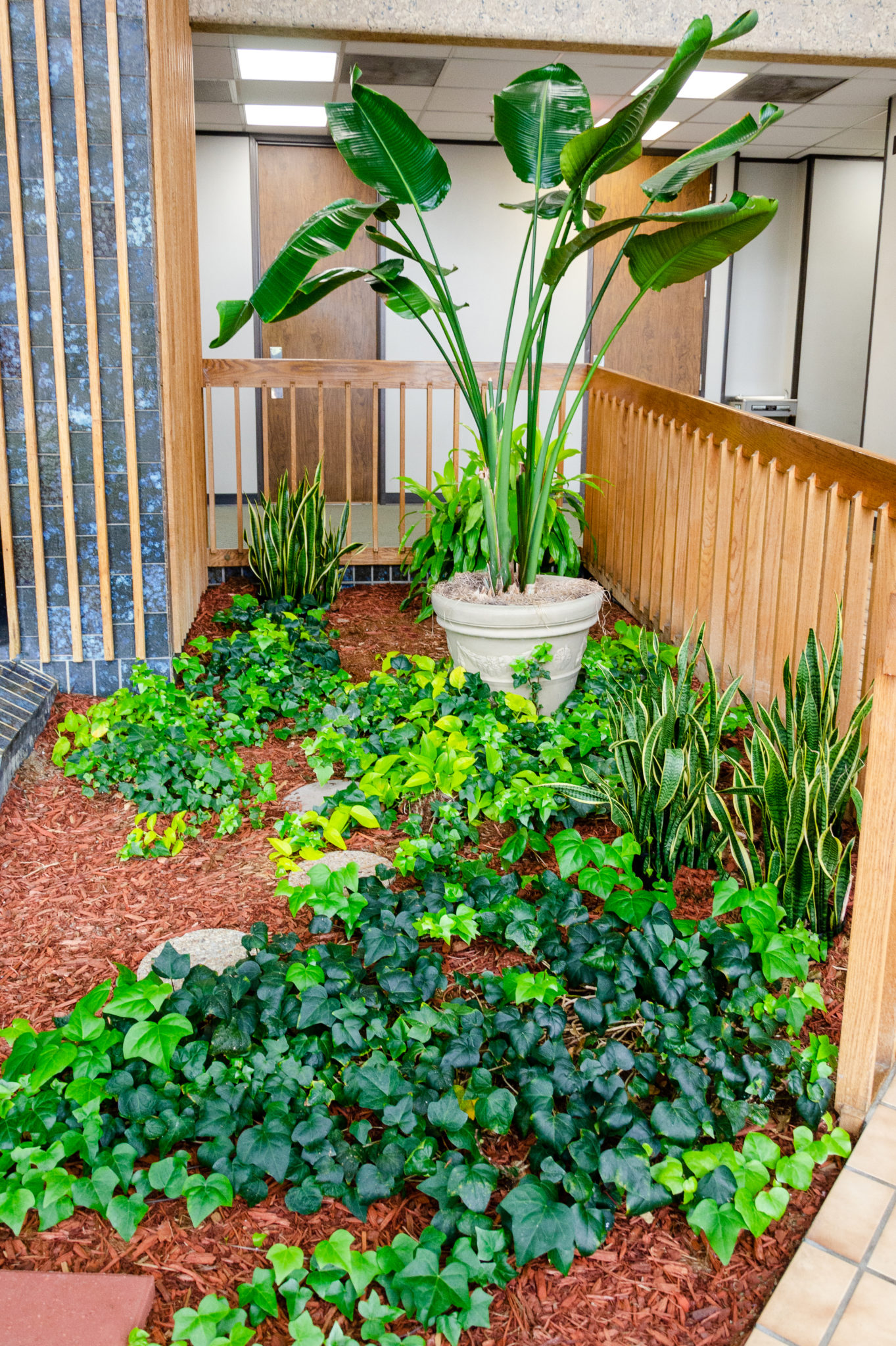 A Plant Watering Service Makes It Easy New Orleans, Louisiana