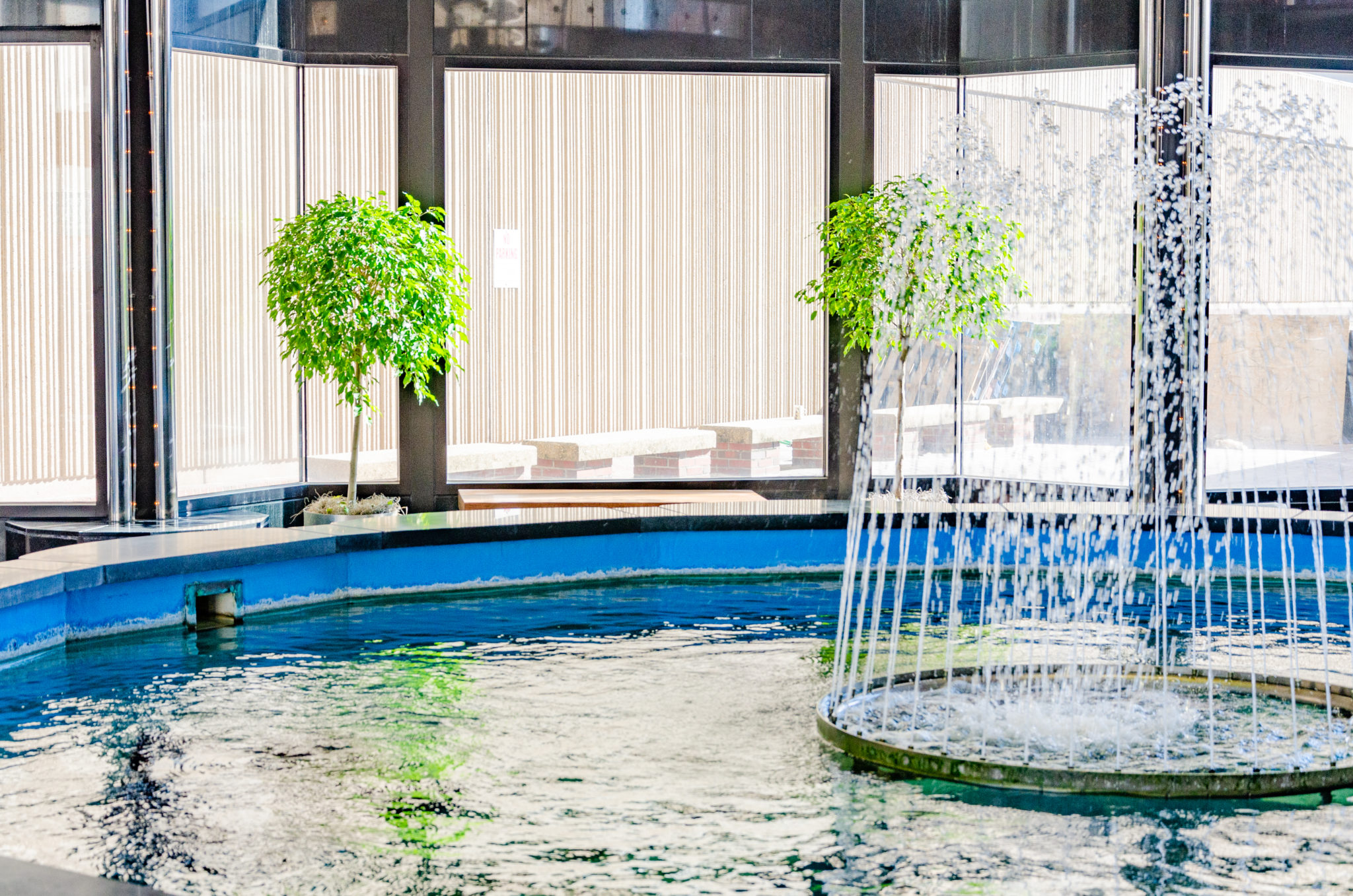 The Therapeutic Effect Of Indoor Plants Plant Watering Service