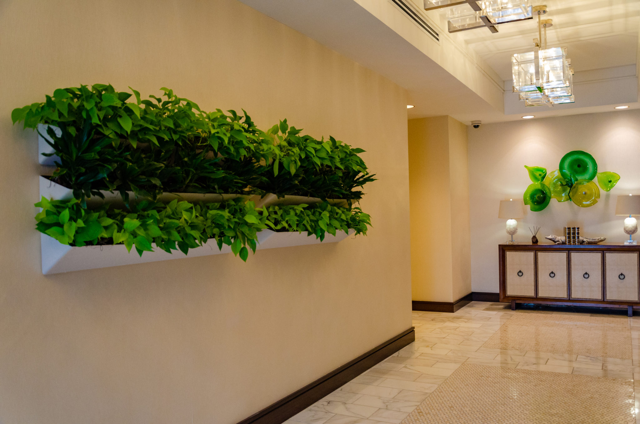 Indoor Green Walls | Billy Heroman's | Indoor Landscaping