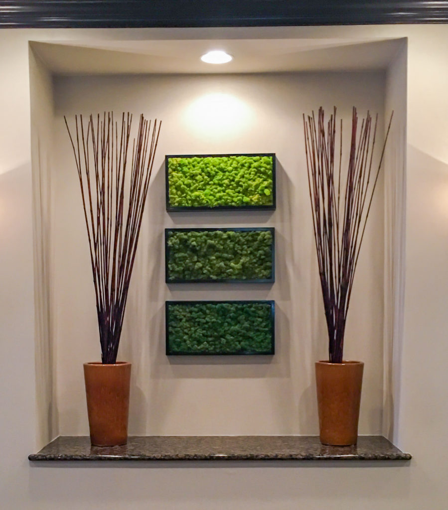 Get the indoor green walls you need for a burst of color