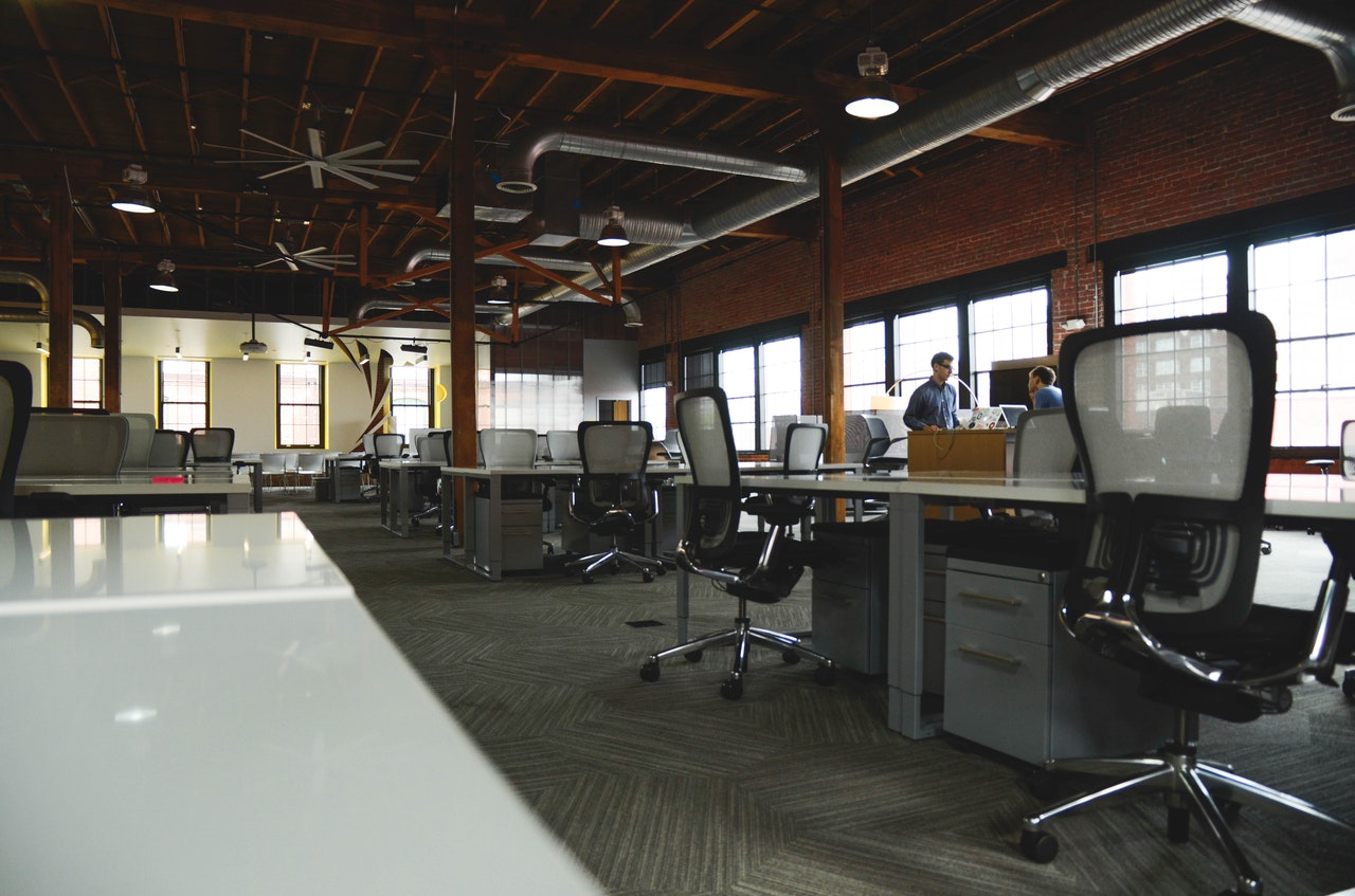 Our office plant rental services may just be what you need.