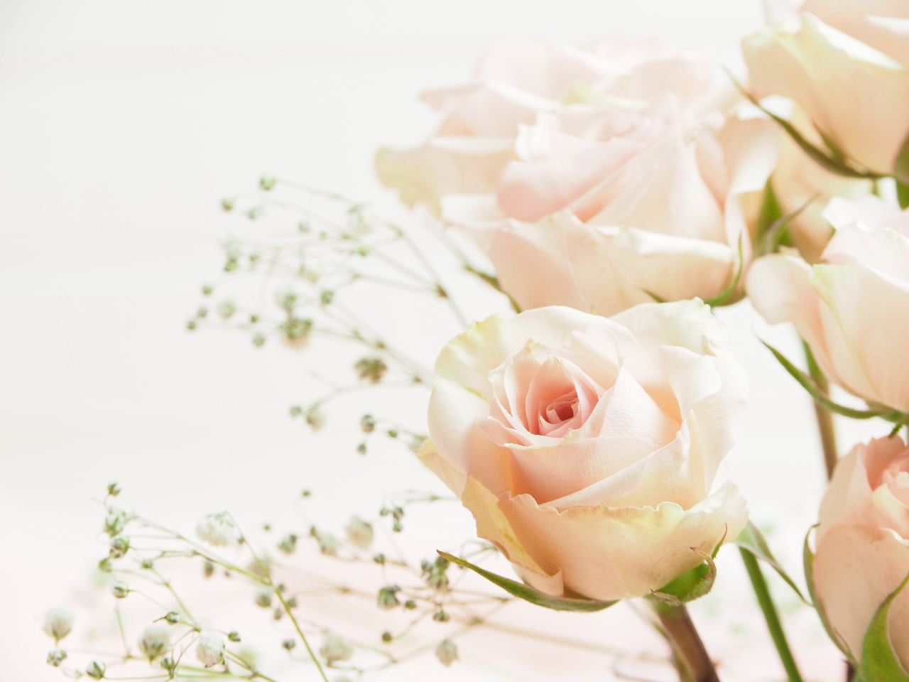 4 Reasons To Use Wedding Plant Rentals
