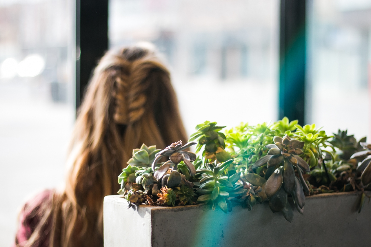 The Best Indoor Business Plants for Spring | Louisiana