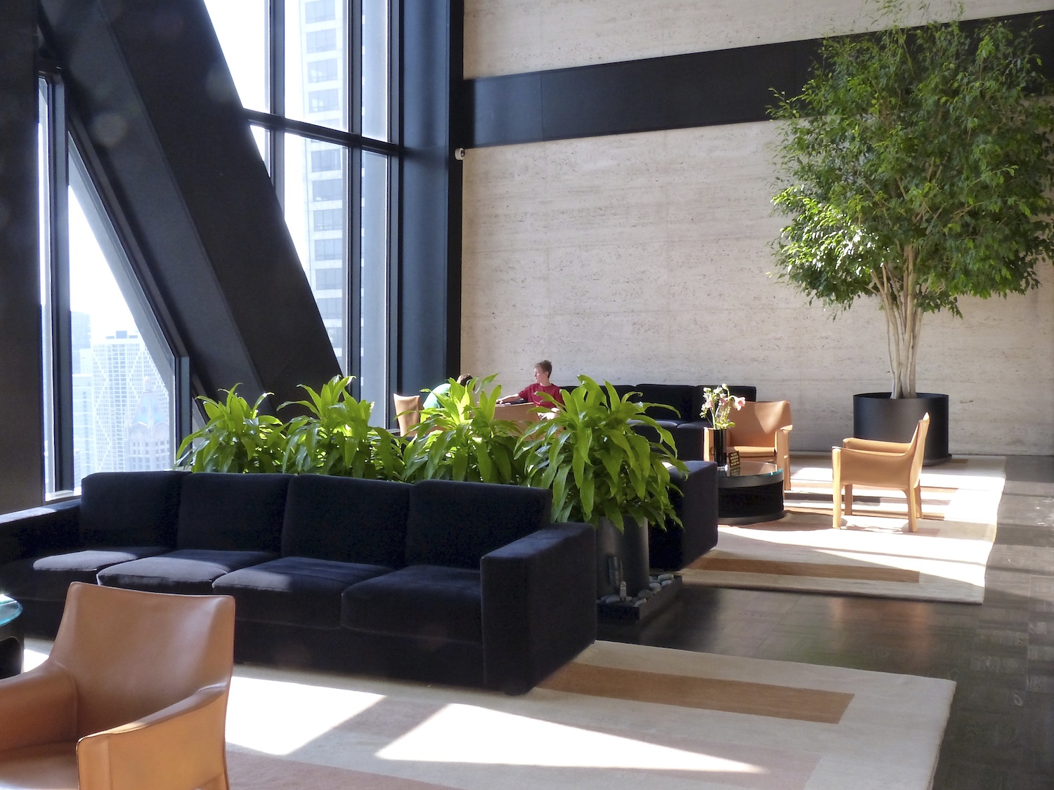 Take the landscape of your indoor space up a notch and boost your office productivity!
