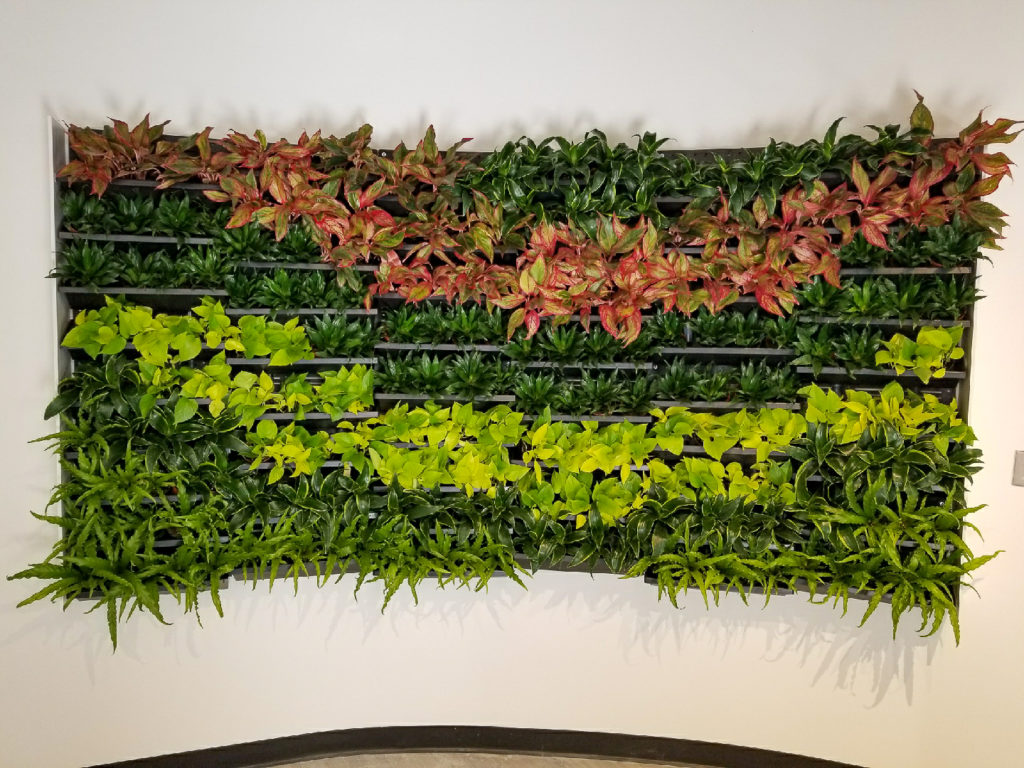 Interior plantscapes can transform your home or office!