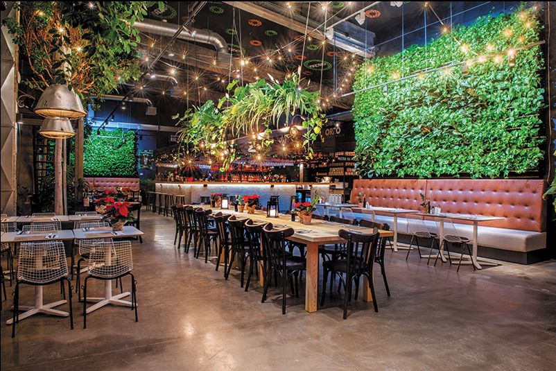 Interior view of a modern restaurant with lots of green plants