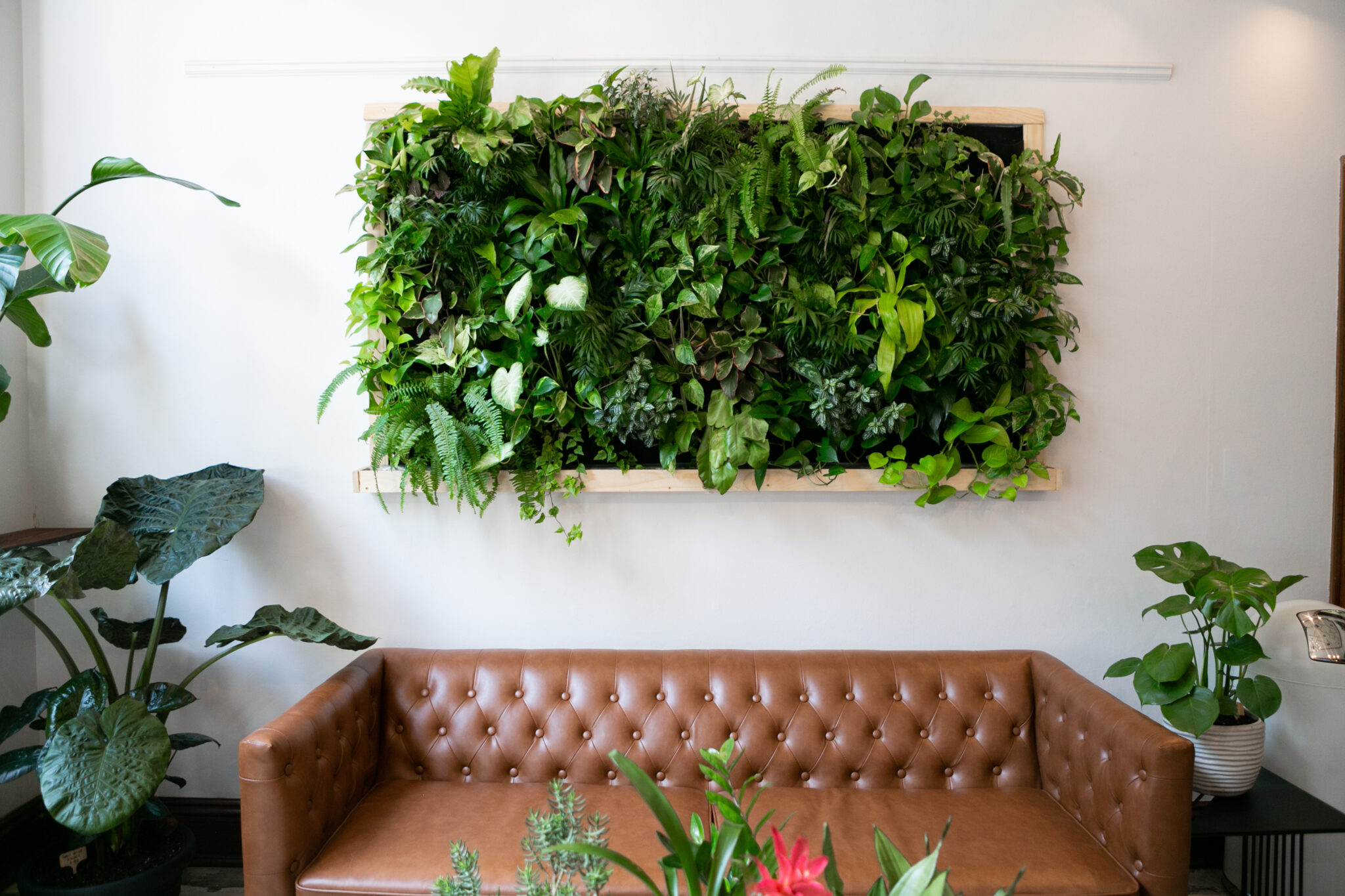 Moss Art & Live Plant Walls