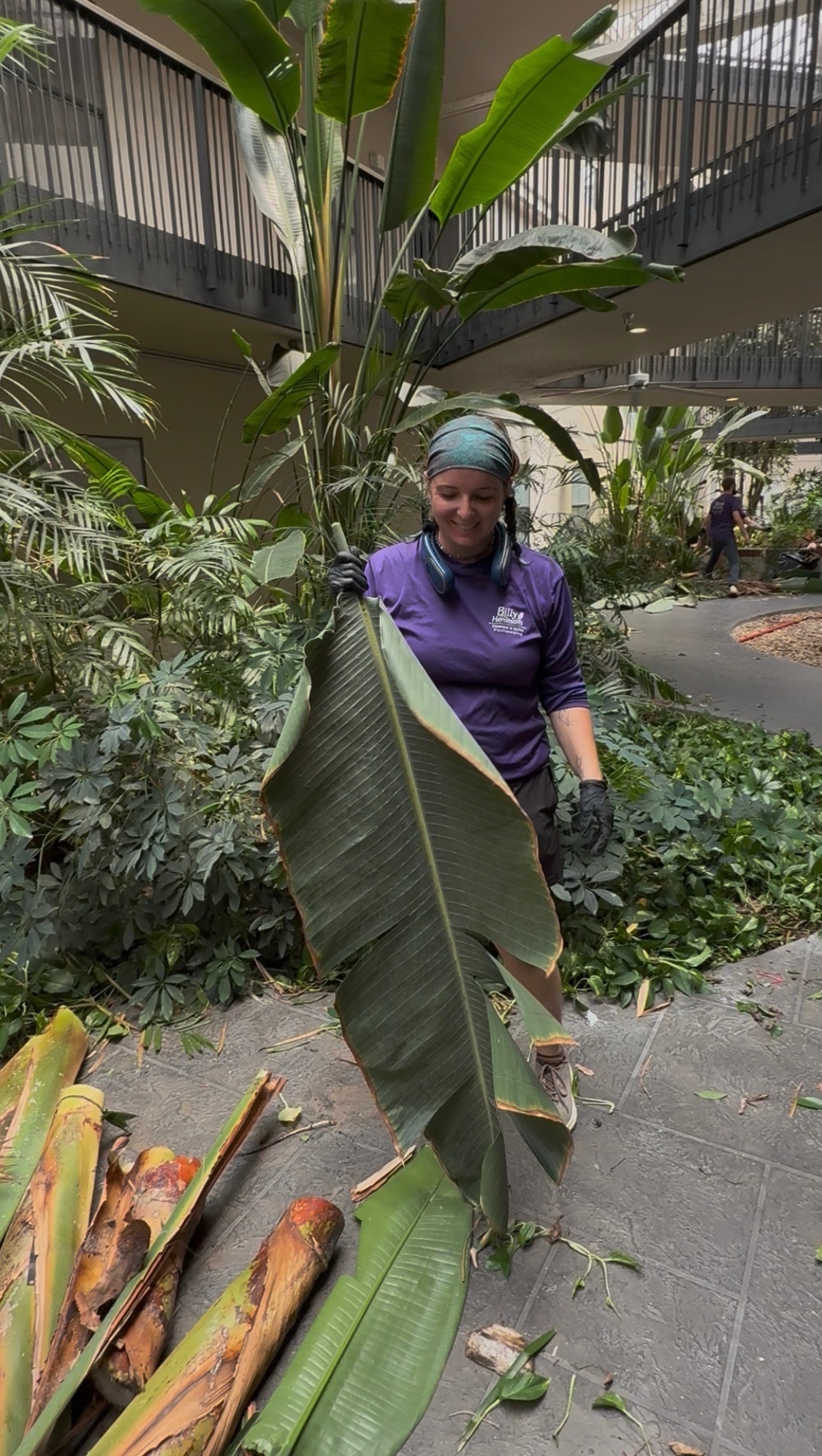 Plant Maintenance