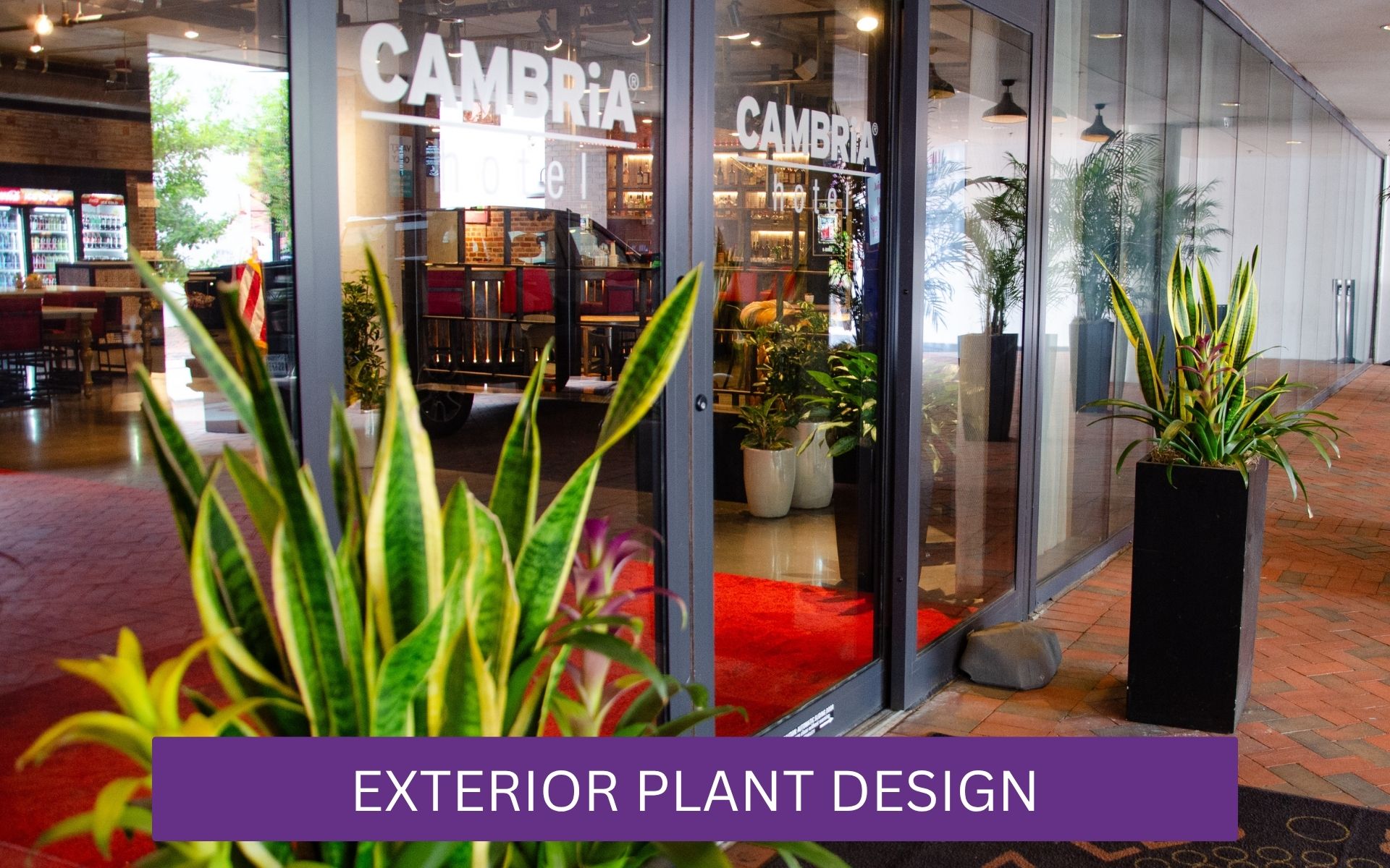 Planters in front of Hotel Cambria in New Orleans, Louisiana.