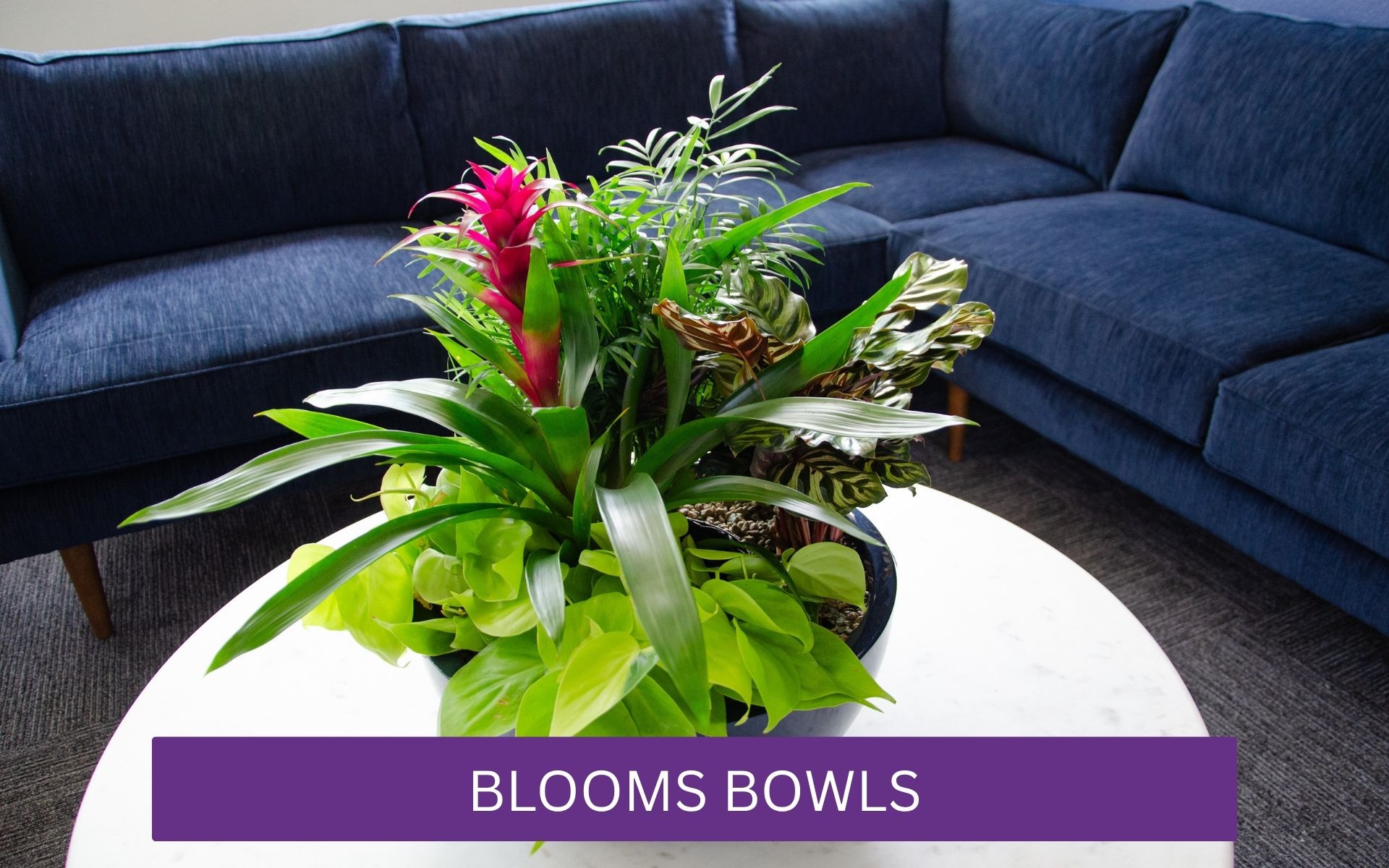 A mix of blooming and green plants in a decorative bowl.