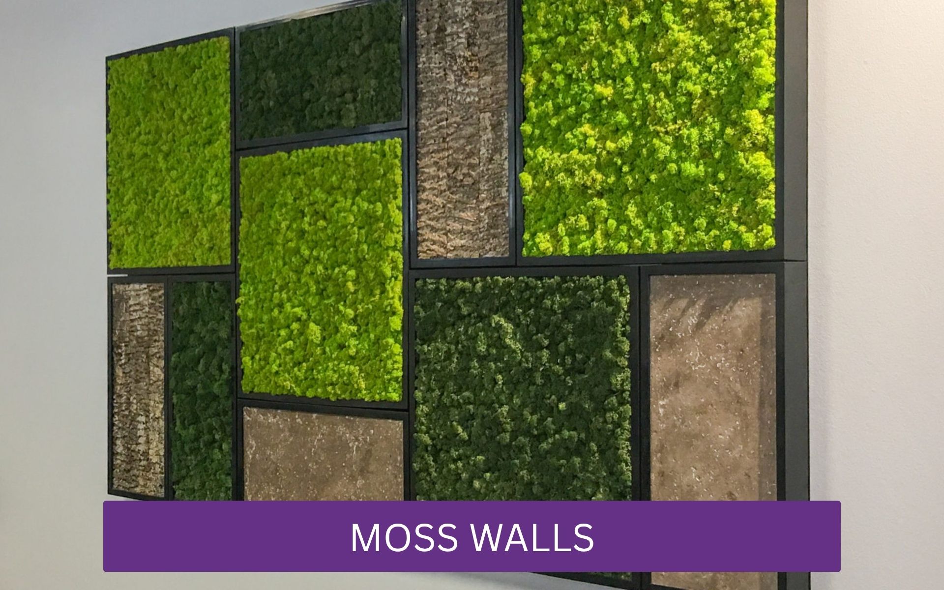 Framed moss art on a wall of a client's business.