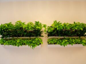live green plant wall