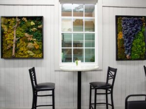 moss art in staff lounge