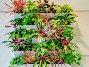 live plant wall with green and blooming plants