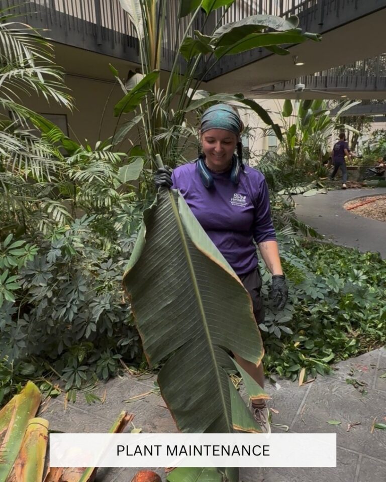 Mallory - Plant Maintenance