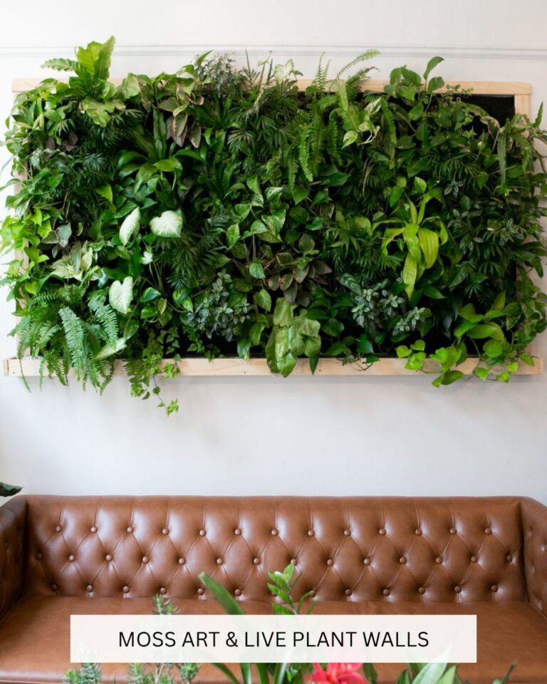 Moss Walls